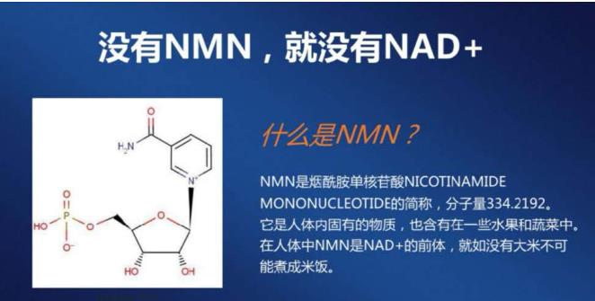 相关概念股持续大涨 “不老药”NMN能作为食品添加剂了？