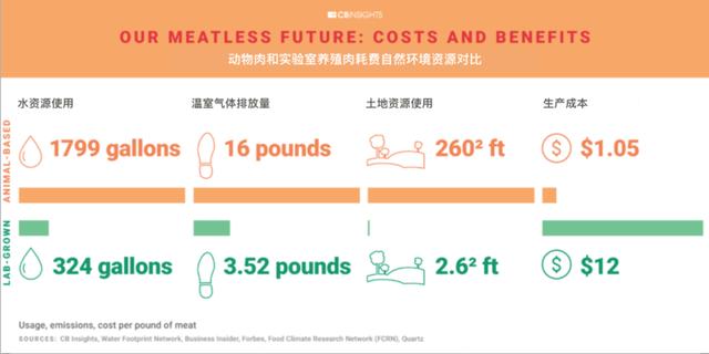 中国工程院院士谭天伟回应每经：生物制造将给多领域带来革命性变化，人造肉等未来食品将助力解决粮食安全问题