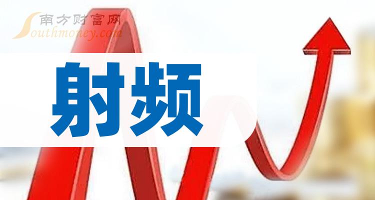 上海新阳2024年半年度董事会经营评述