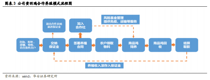 日联科技：11月11日接受机构调研，华安证券、银华基金等多家机构参与