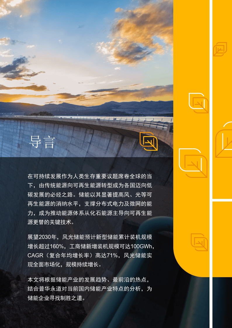 储能行业2025年度策略：百舸争流千帆竞，唯有龙头破浪前