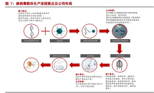 康希诺：公司执行的一贯标准是定期报告截止日及其后的股东人数披露不早于当期定期报告的披露