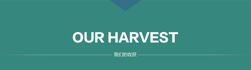 显盈科技:预计2024年全年盈利700.00万至1000.00万 净利润同比下降66.17%至51.67%