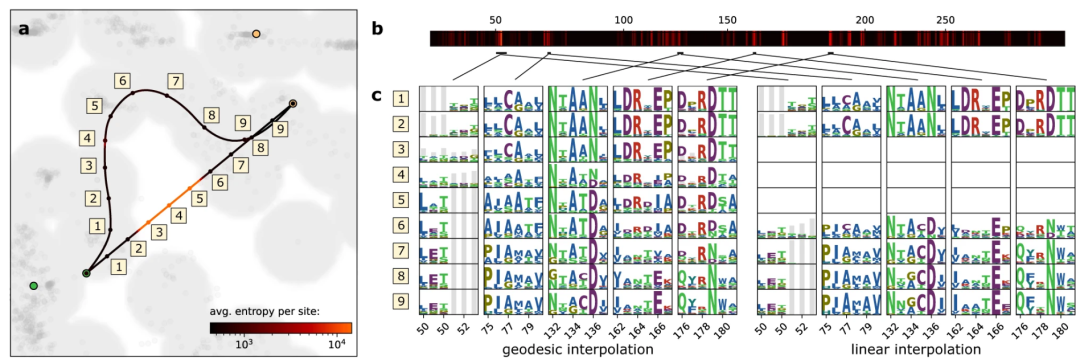 成都先导：AI蛋白质设计是生物医药行业的一项前沿技术展现出巨大潜力