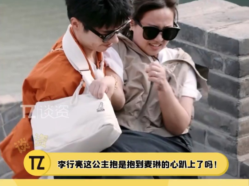 李行亮公司注册心趴商标