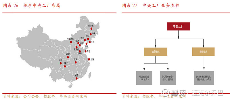 财报速递：桃李面包2024年全年净利润5.22亿元