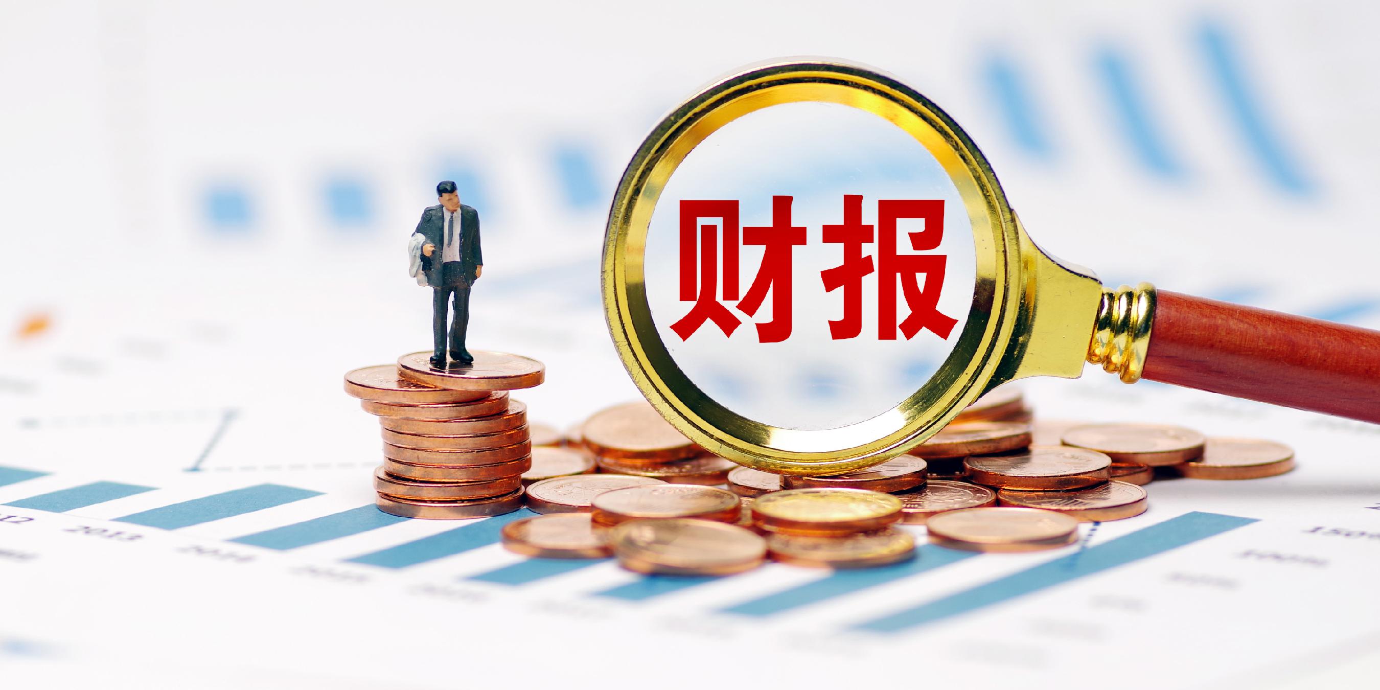 财报速递：广州发展2024年全年净利润17.32亿元