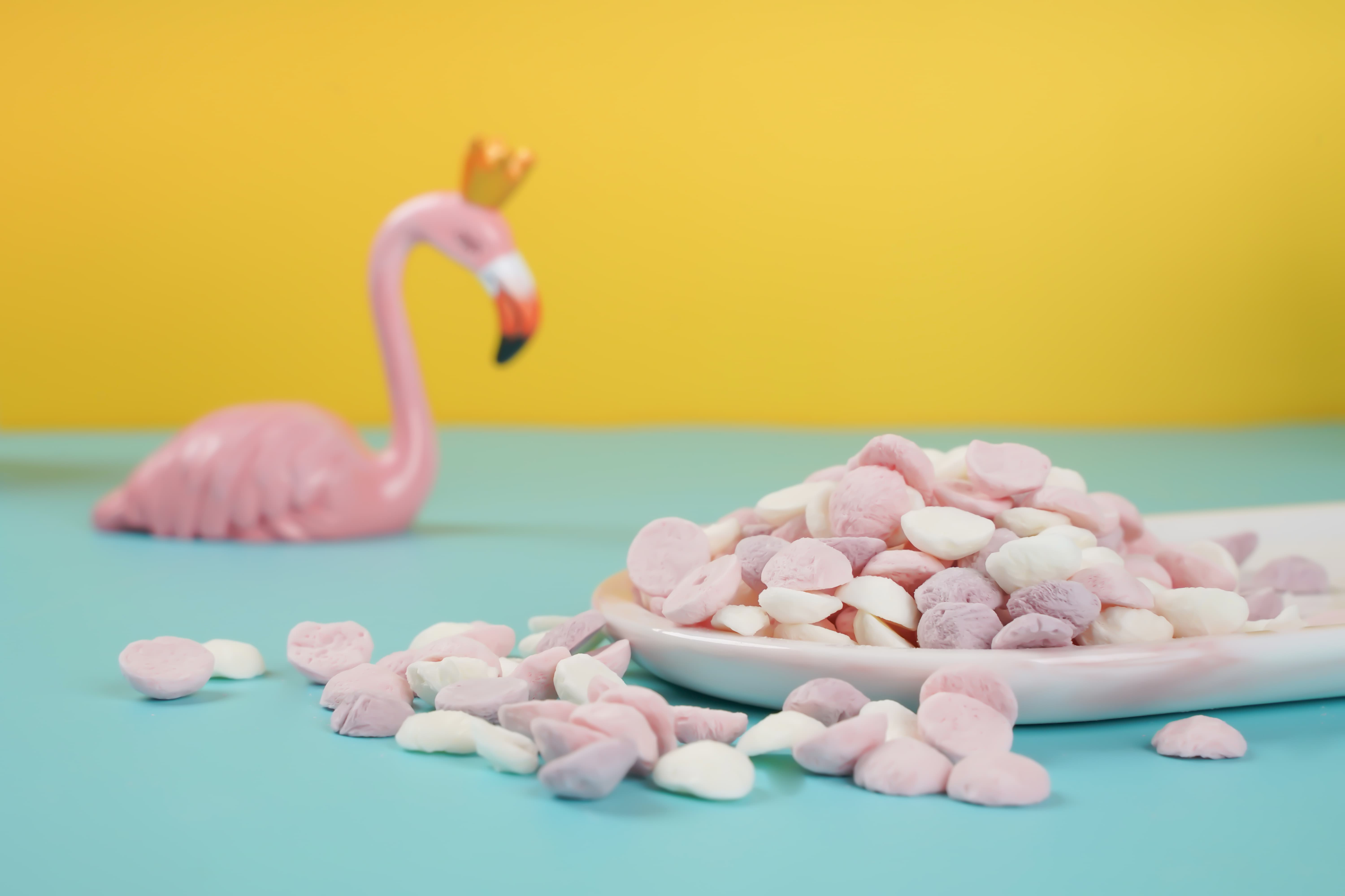 2025全球冻干食品行业发展现状分析 2024年全球冻干食品市场规模约32亿美元【组图】