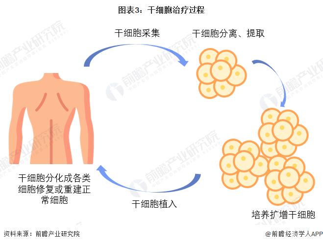 【干细胞医疗】行业市场规模：2024年全球干细胞医疗行业市场规模约290亿美元 干细胞治疗市场占比57%