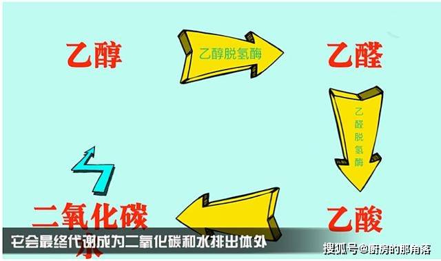 三羊马：公司是一家主要通过公铁联运方式为汽车行业和啤酒、饮料、洗涤用品等非汽车行业提供综合服务的第三方物流企业