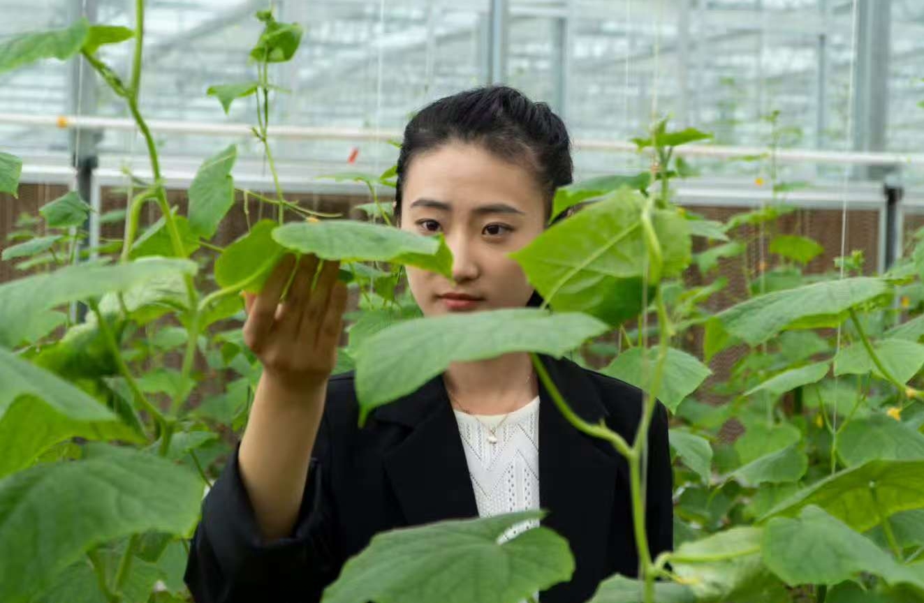 农旅融合助发展，潭头村做对了哪三件事？