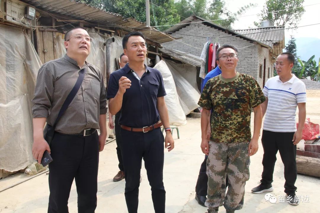 神州细胞：国新投资、民生加银等多家机构于5月26日调研我司