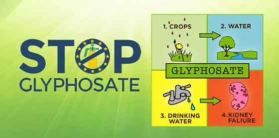 基础化工行业周报：关注草甘膦供给端扰动，ST中泰撤销其他风险警示