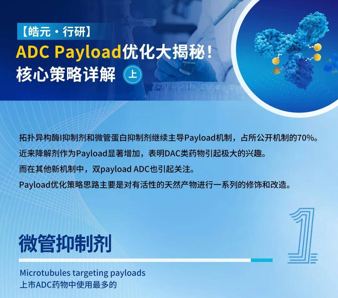 皓元医药：公司后端特色原料药、中间体和制剂业务目前尚处于国际化发展的起步阶段