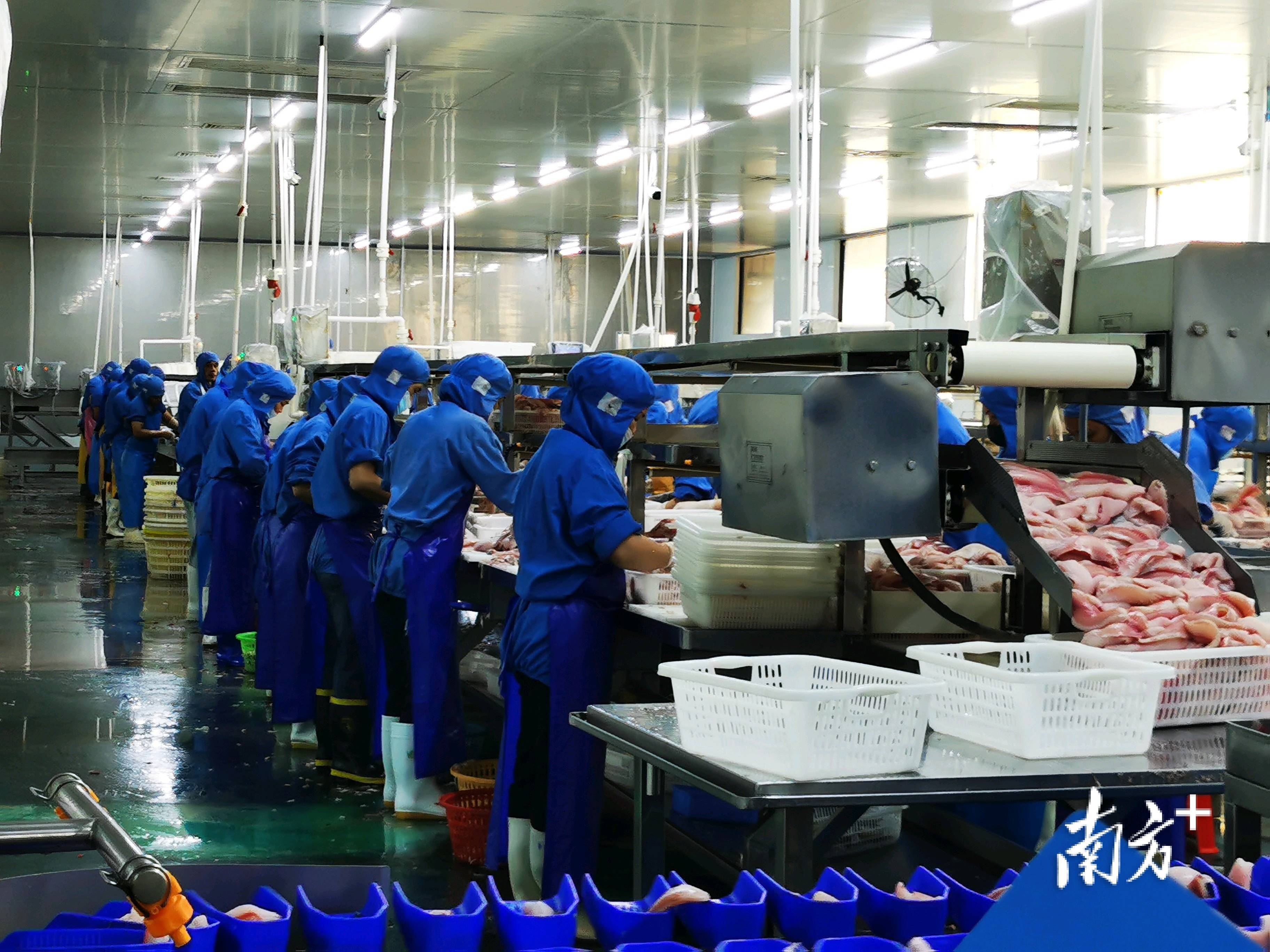 鸿富瀚：预计2025年半年度盈利1915.00万至2372.00万 净利润同比下降59.91%至50.34%