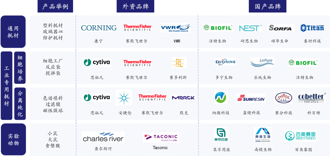 药康生物：与灵康生物共同开发基因编辑猪品系并探索下游应用