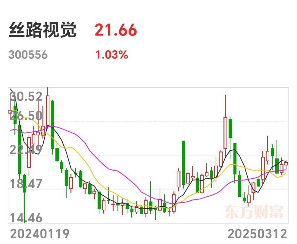 丝路视觉：公司依托子公司在多场景实现应用布局和落地