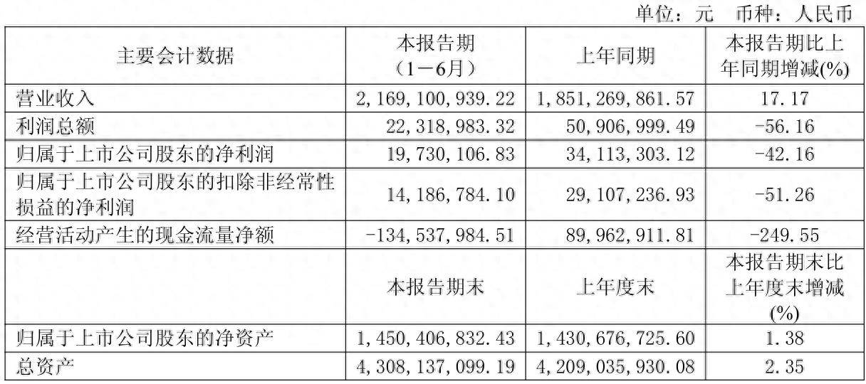 财报速递：ST晨鸣2025年半年度净亏损38.58亿元