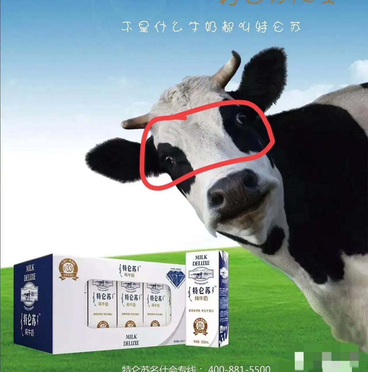 行业观察：蒙牛出售新西兰工厂，折射全球乳业新动向