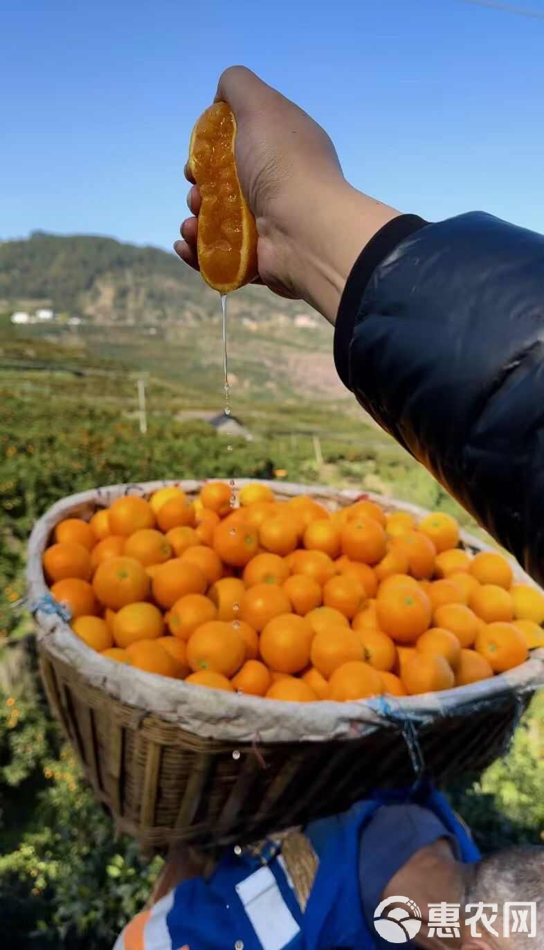 金橙子:9月16日接受机构调研,波普基金、汉石基金等多家机构参与