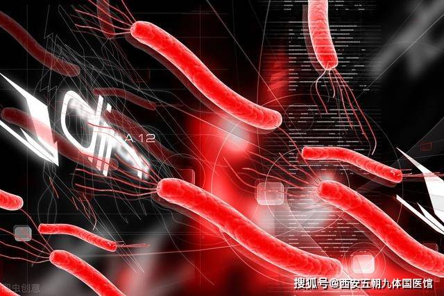 丹诺医药冲击IPO，6亿幽门螺杆菌感染者在等待，两年多亏损超3亿