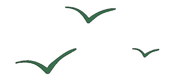 IPO动态：摩尔线程拟在上交所科创板上市募资80亿元