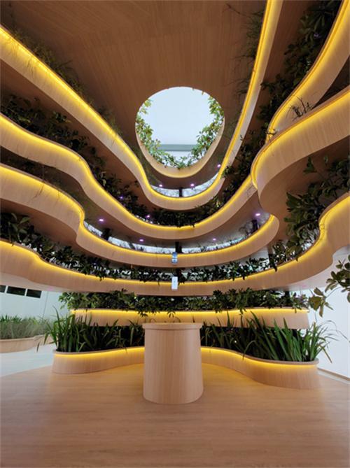 安凯微：10月16日接受机构调研，金丰创晟、知本复利等多家机构参与