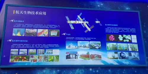 成大生物：10月17日接受机构调研，东方红、国投证券等多家机构参与