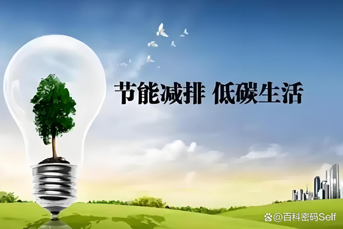 多地出现“负电价”，既然卖电“不挣钱”，为何电厂不愿停机？