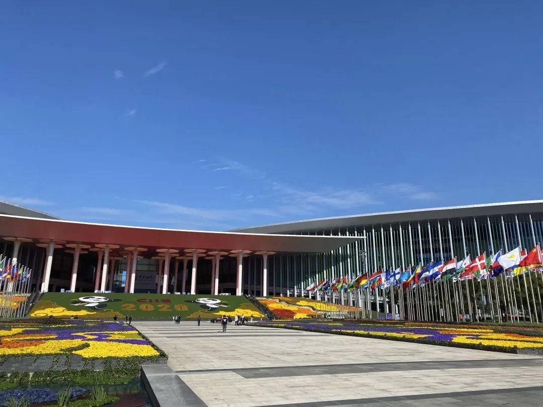 进博会现“它经济”新消费赛道，现存动物保健企业超3000家