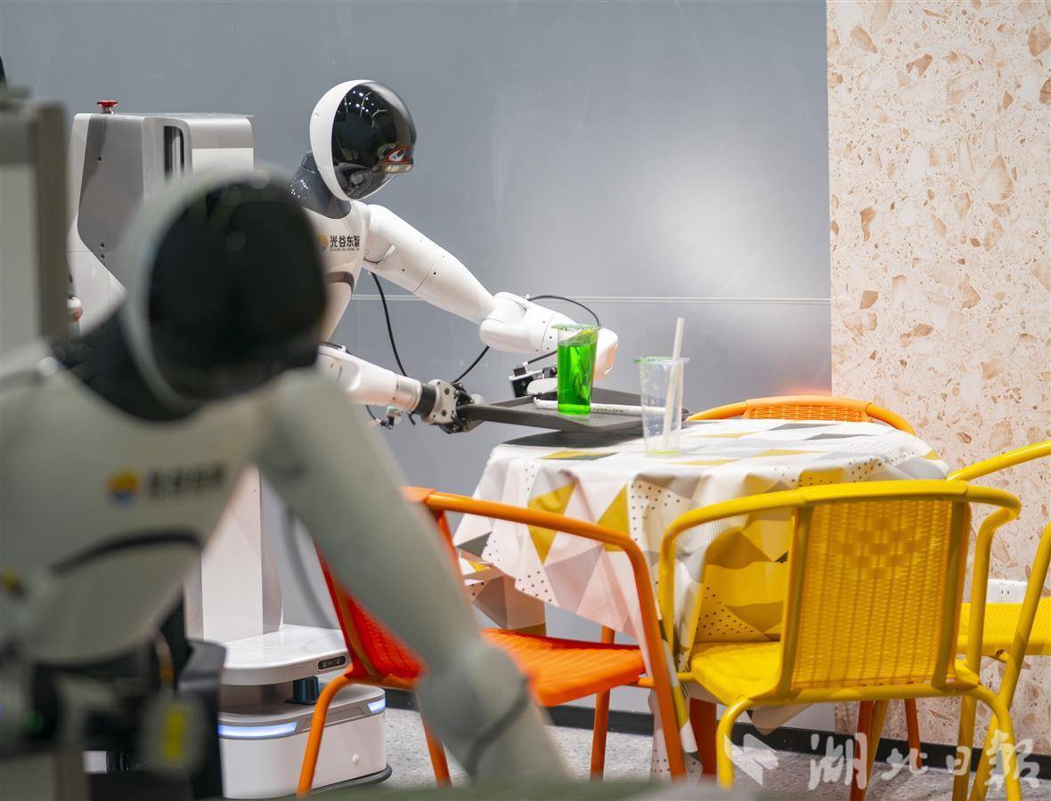 宏微科技（688711）新增【人形机器人】概念