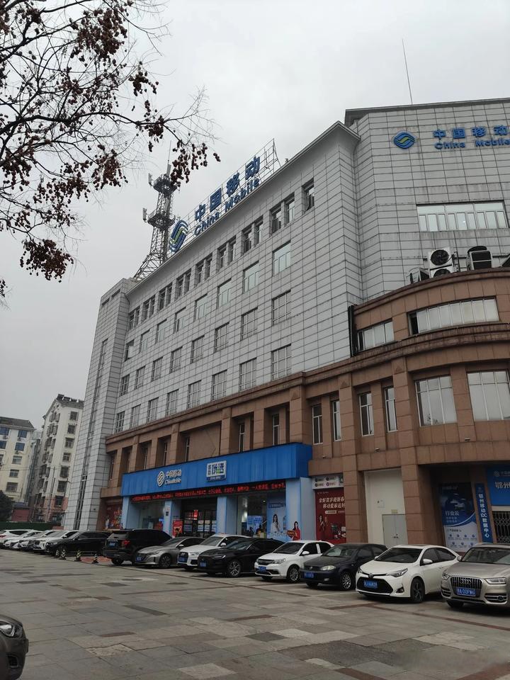 烽火通信、中国电信等在湖北成立新型互联网交换中心公司