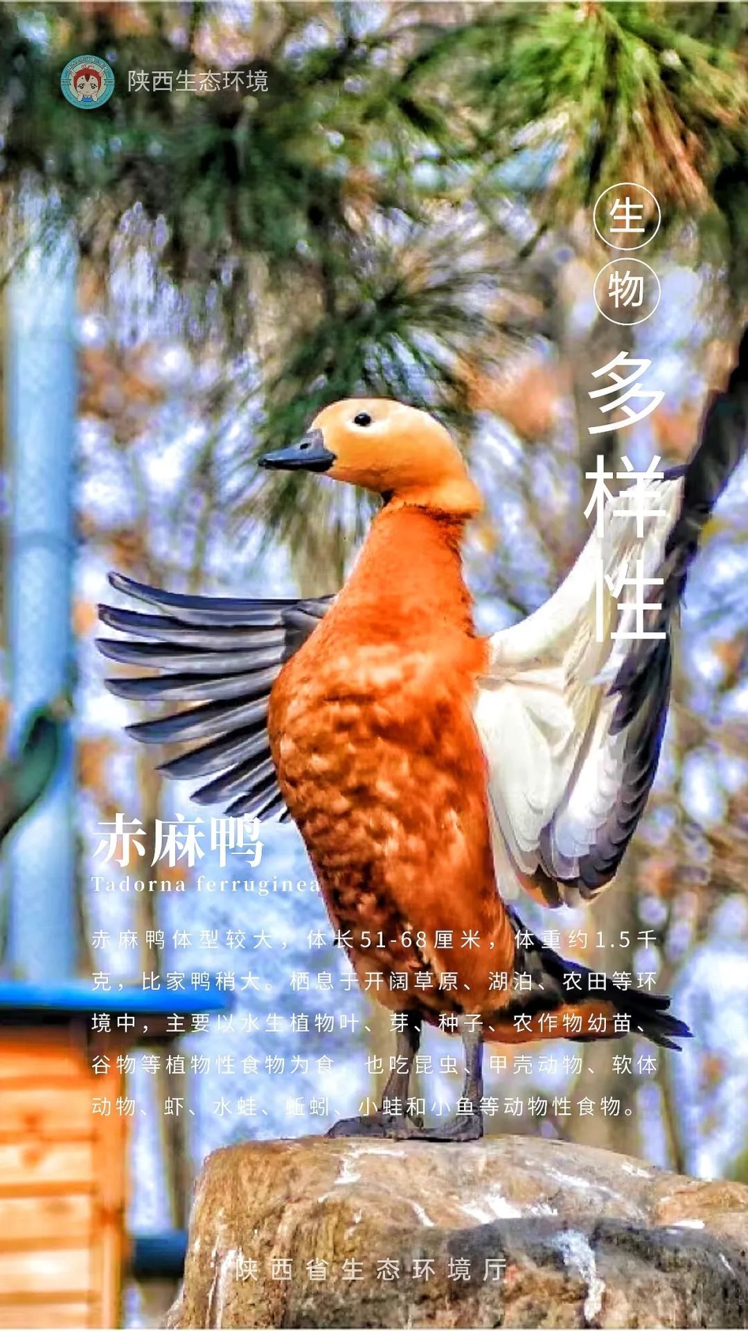 自然堂集团携手上海自然博物馆，共启“美与自然共生”生物多样性主题展