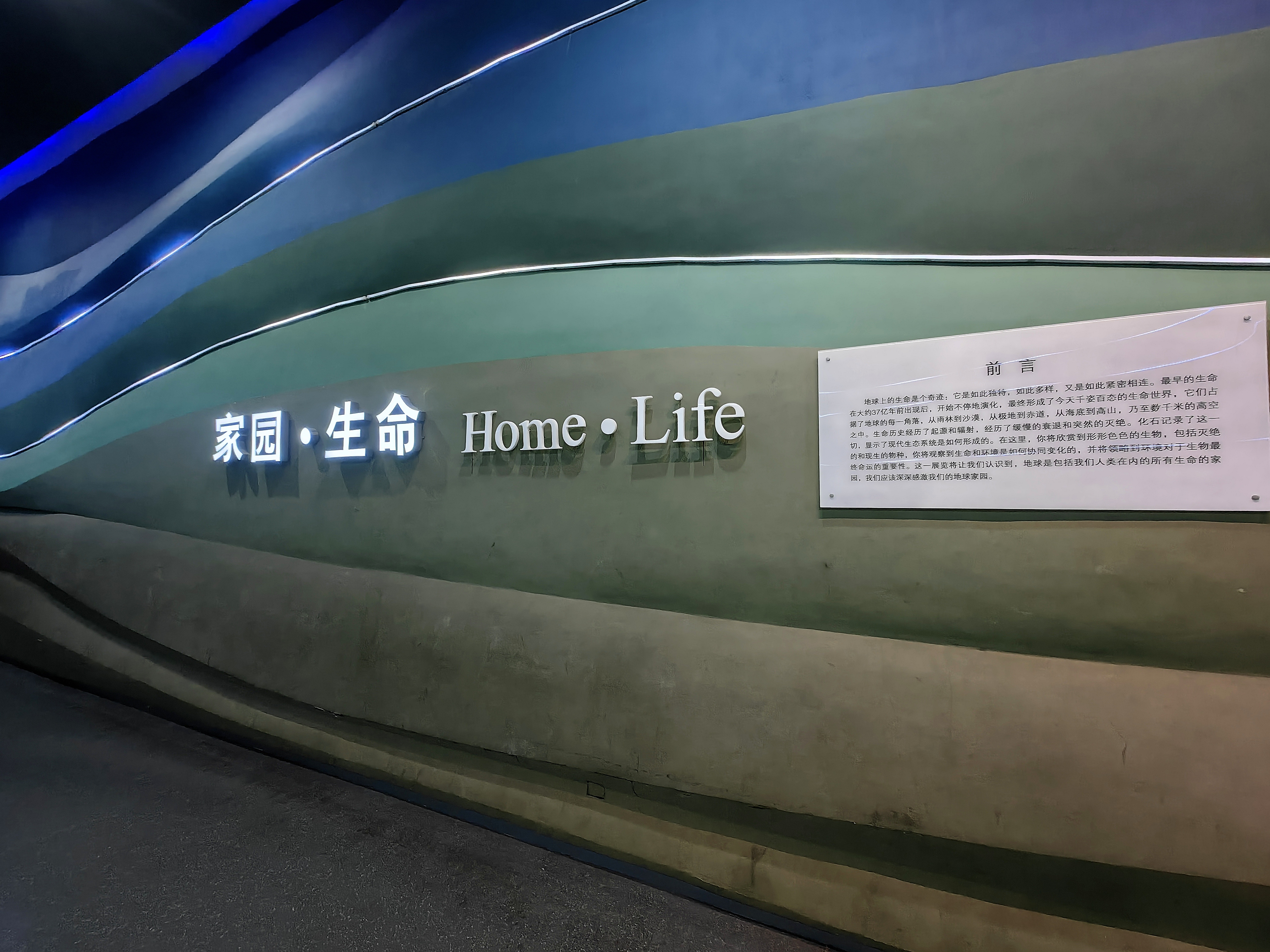 自然堂集团携手上海自然博物馆，共启“美与自然共生”生物多样性主题展