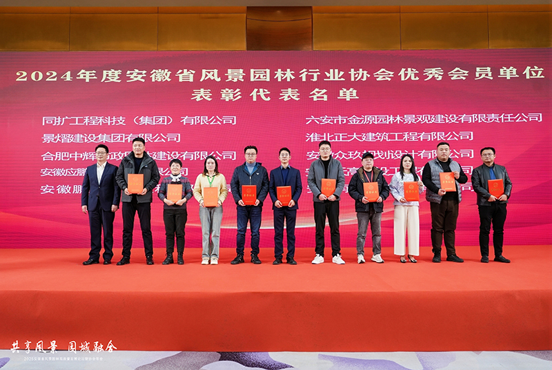 滴滴加油荣获中国石油流通协会“优秀会员单位” 助力行业高质量发展