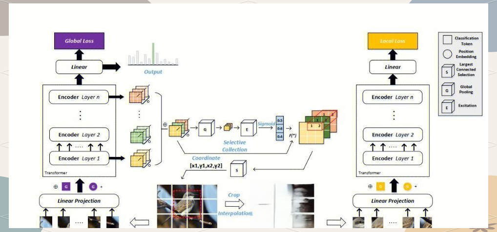 基于MacBERT-Transformer多模态 融合的上市企业财务造假识别研究