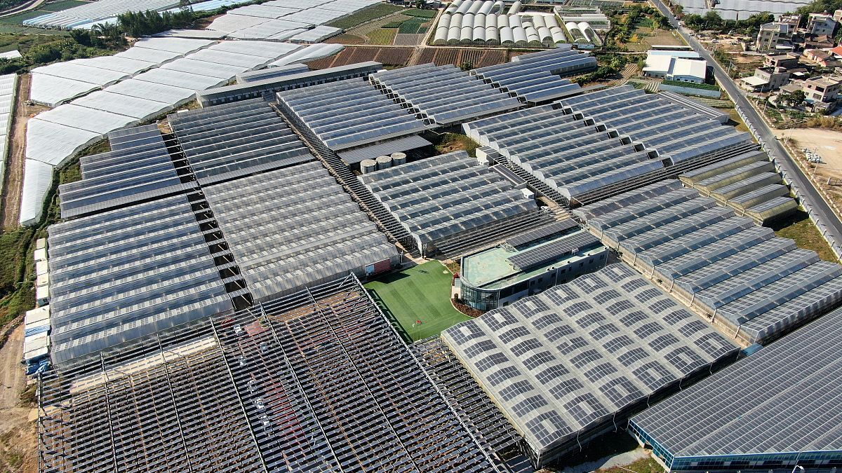 龙鑫智能：控股股东配偶的合作伙伴现身客户“关系网” 供应商与实控人曾投资企业或关系待解