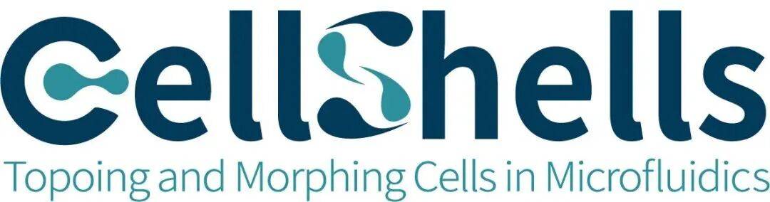 交通运输产业行业研究：美印贸易合作或利好油运，皖通收购山高股权落地