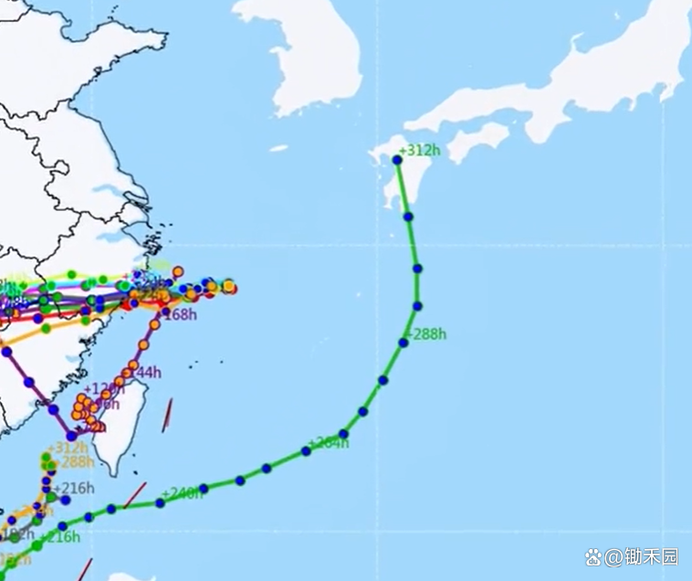 台风“沙德尔”在浙江省台州玉环市登陆