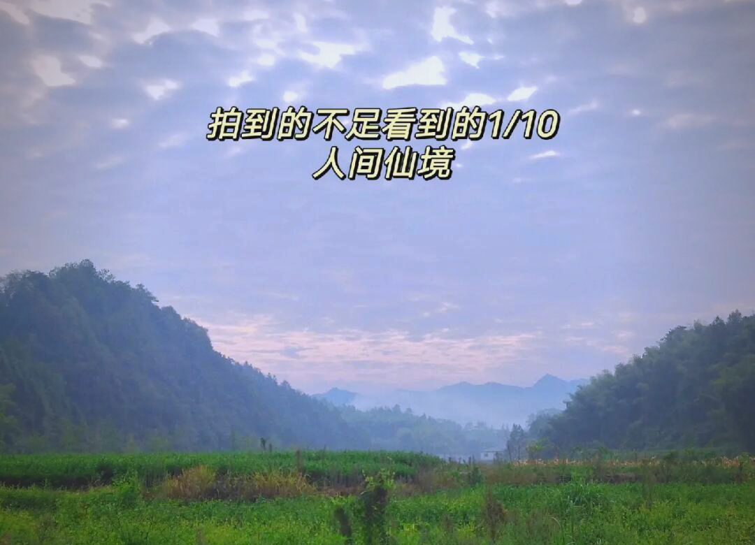 “00后”选调生办“田园高定”秀 烟火文创焕发乡村活力