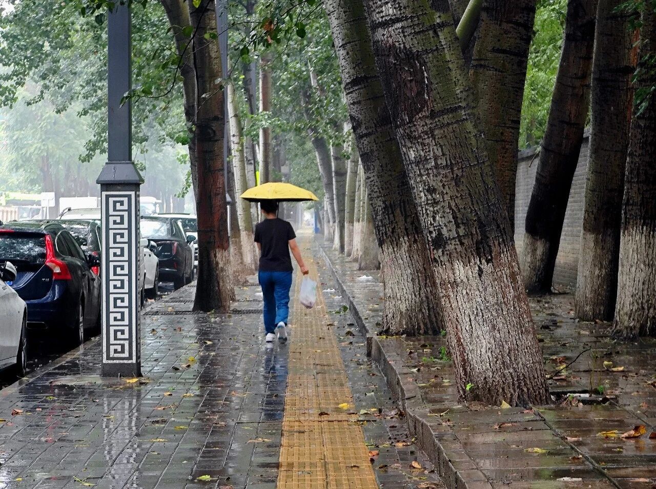 中央气象台：四川重庆湖北等地局地有暴雨